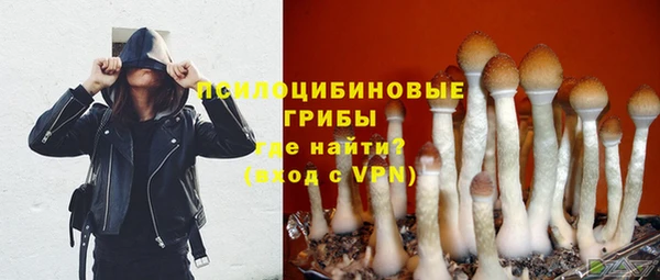 каннабис Белокуриха