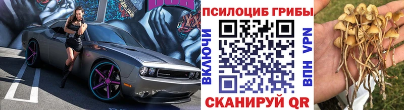 Галлюциногенные грибы прущие грибы  Верхнеуральск 